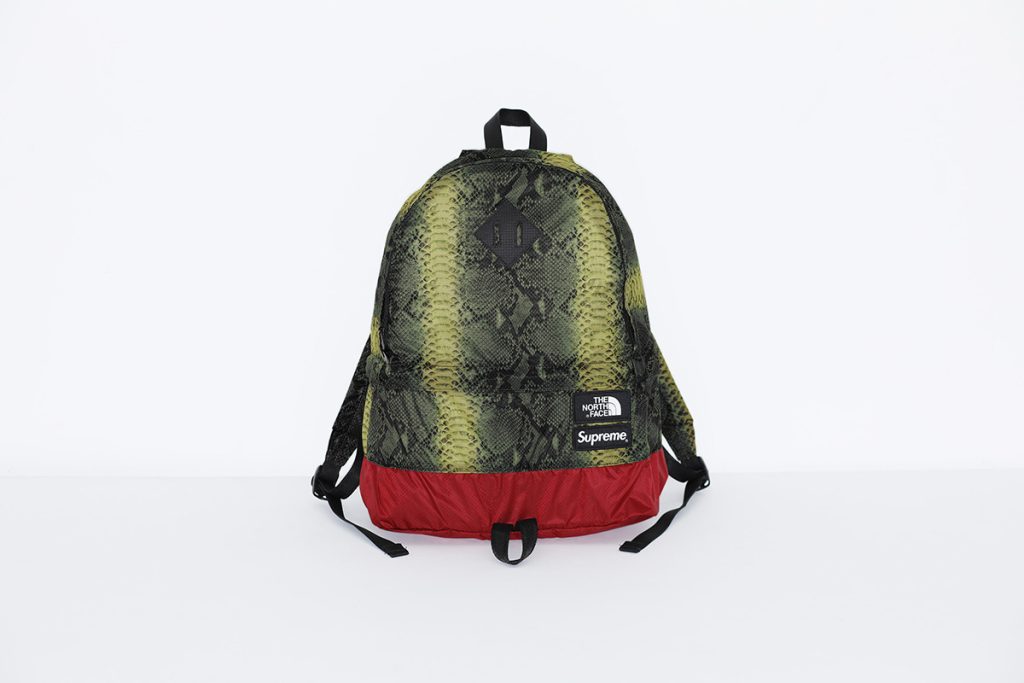 supreme-the-north-face-18ss-2nd-delivery-release-week16-20180609-snakeskin-day-pack