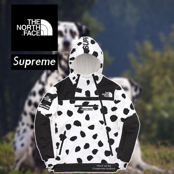 supreme-the-north-face-18aw-leak
