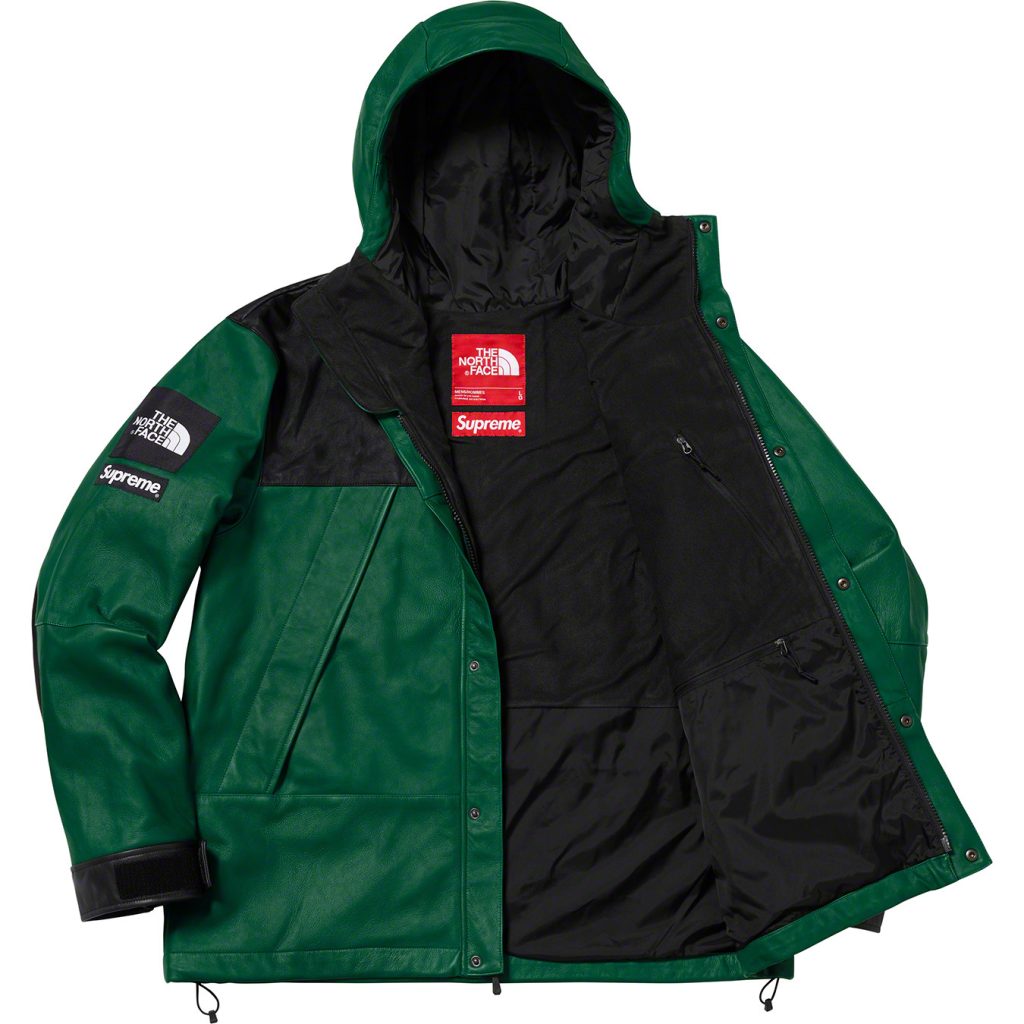 supreme-the-north-face-leather-mountain-parka-2018aw-release-20181020-week9