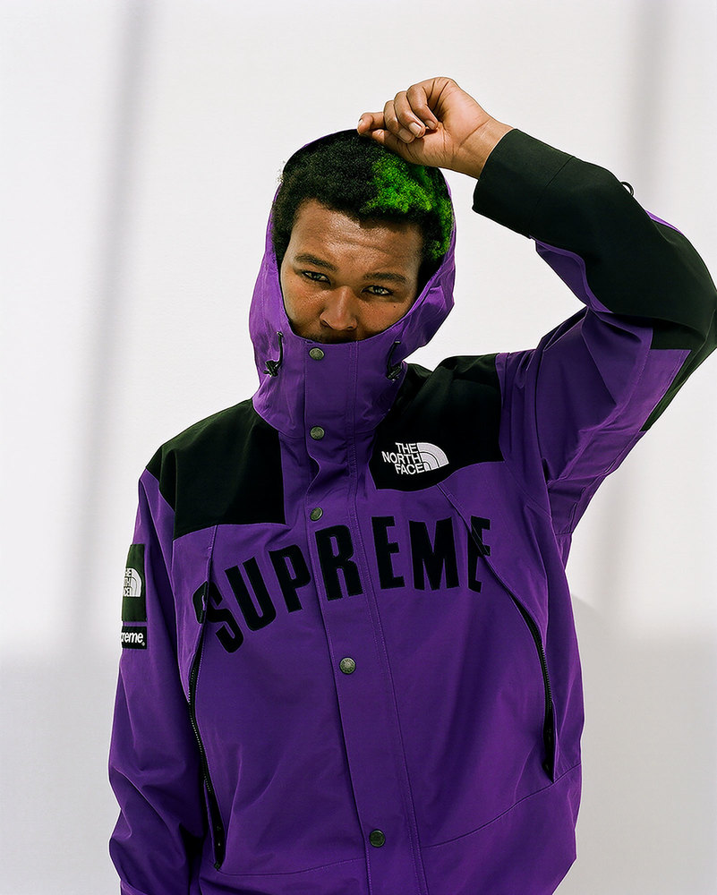supreme-the-north-face-19ss-part-1-release-20190330-week5