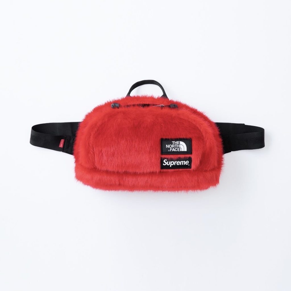 supreme-the-north-face-Faux-fur-20aw-collaboration-release-20201212-week16