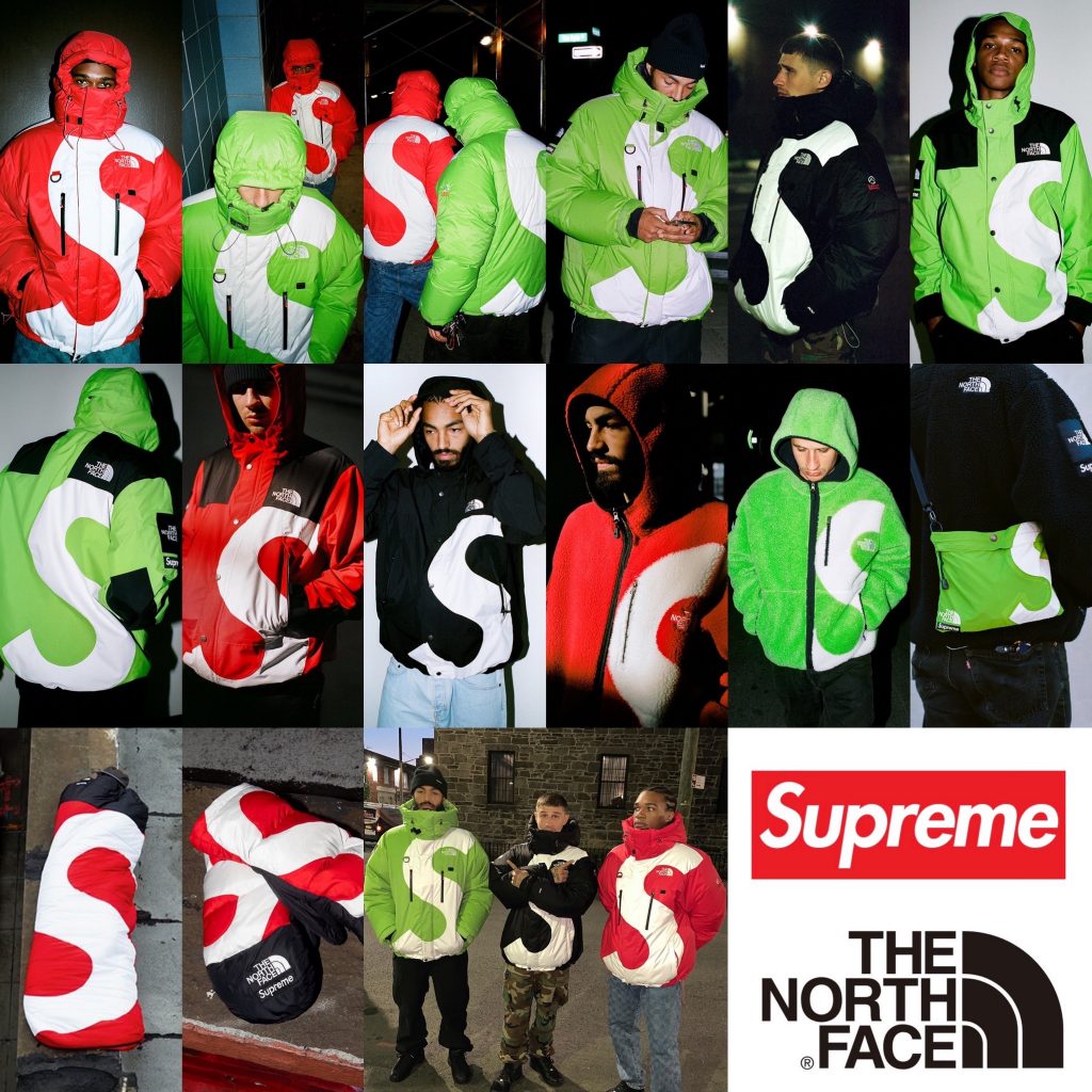 (L) Supreme The North Face S Logo