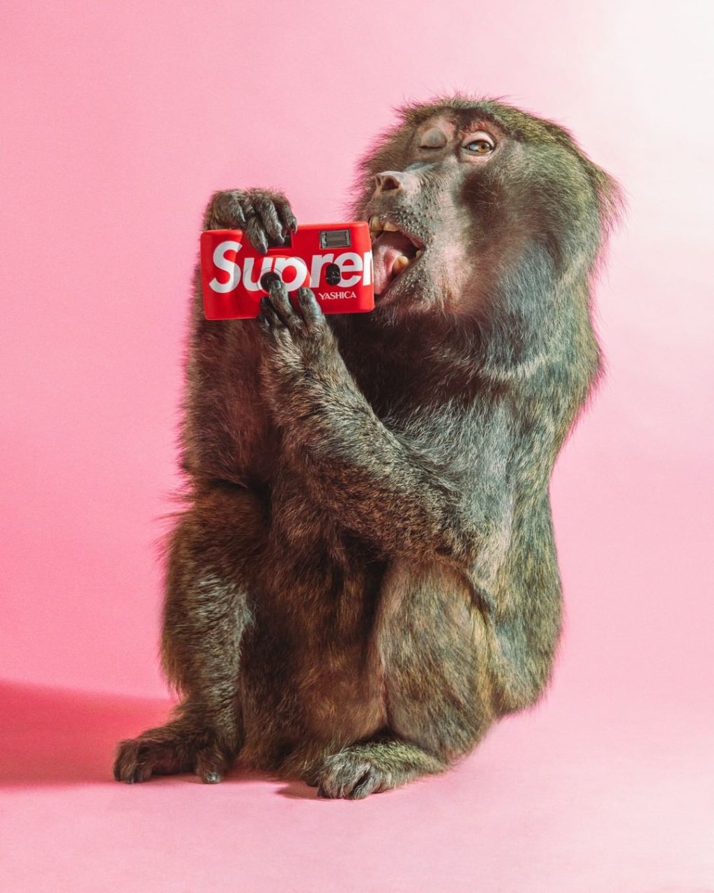 supreme-online-store-20210327-week5-release-items-snap