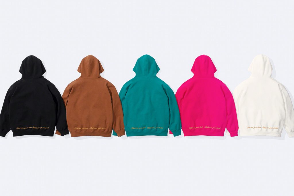 supreme-22ss-aeon-flux-zip-up-hooded-sweatshirt