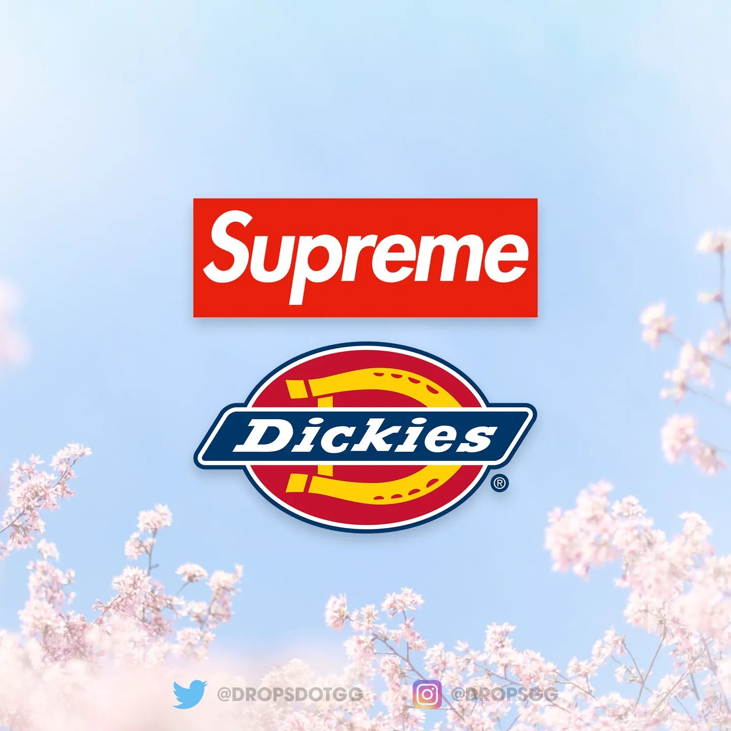 supreme-online-store-20220409-week7-release-items-dickies