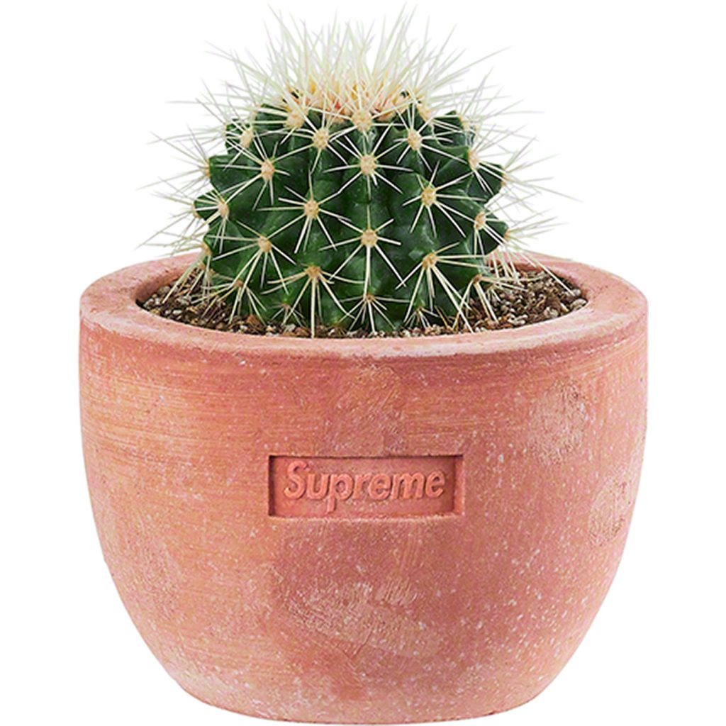 supreme-22ss-supreme-poggi-ugo-small-planters