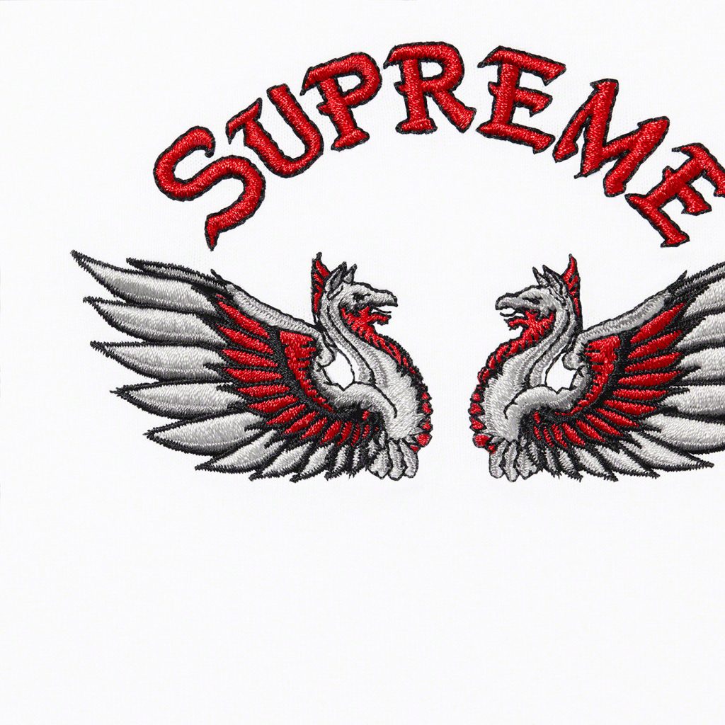 supreme-22aw-22fw-phoenix-s-s-top