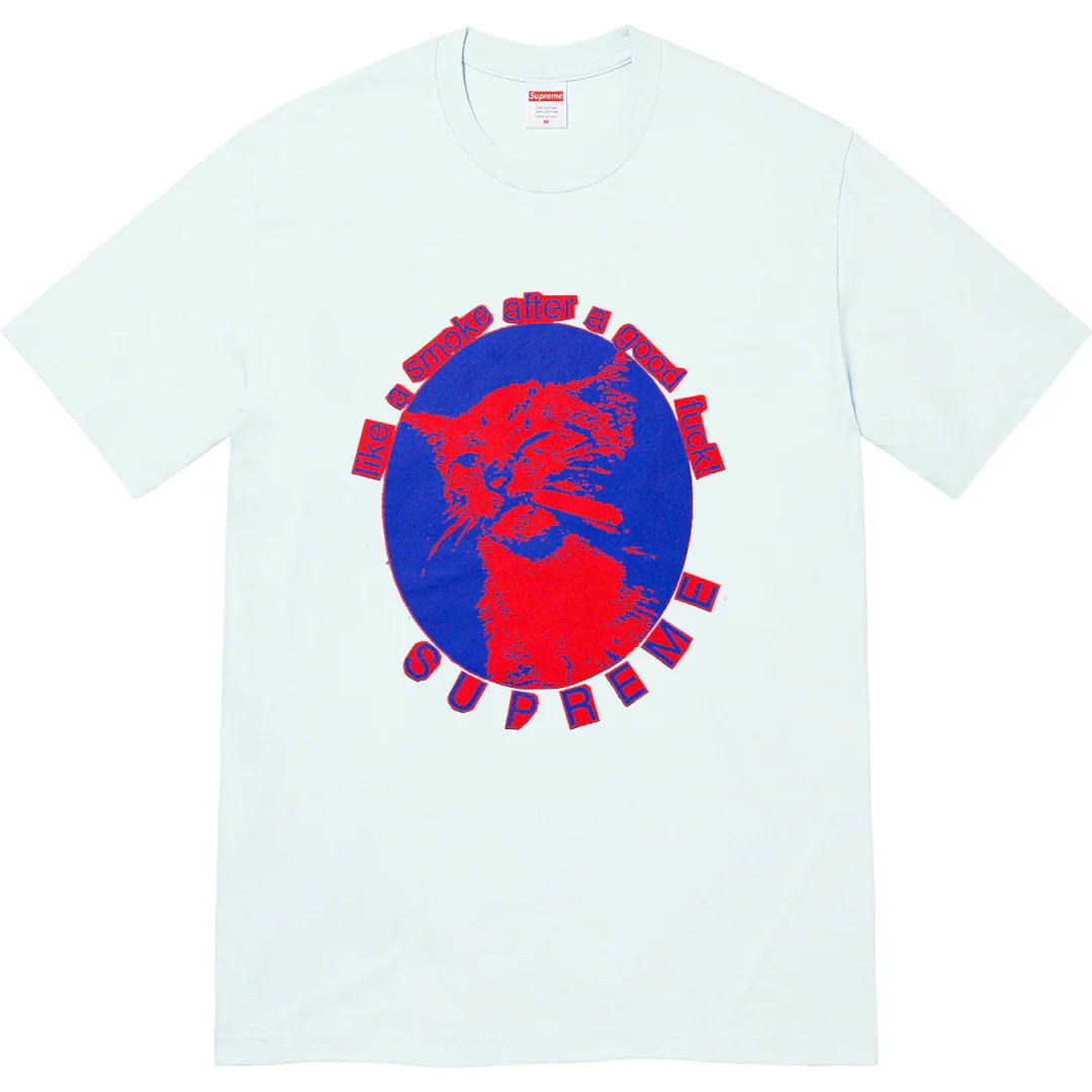 supreme-23ss-smoke-tee