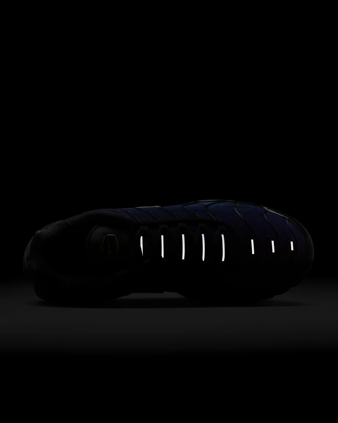 nike-air-max-plus-25th-anniversary-fv0393-001-release-20231109