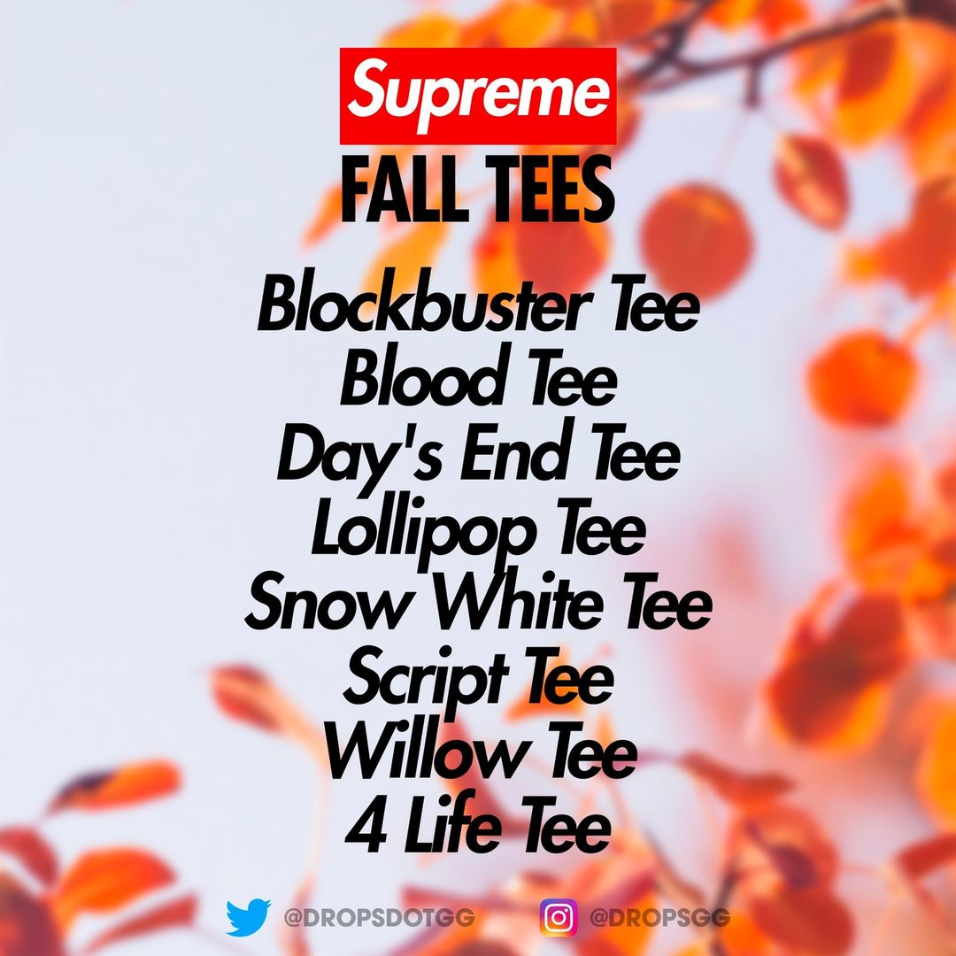 supreme-24fw-24aw-fall-tees