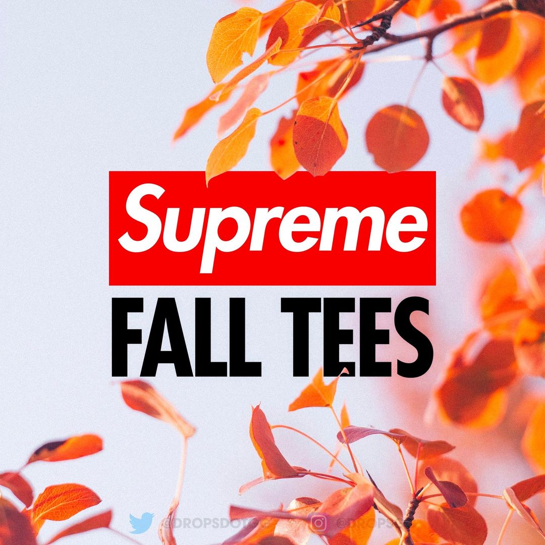 supreme-24fw-24aw-fall-tees