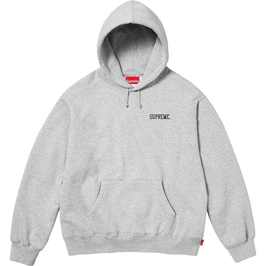 supreme-24fw-24aw-anarchy-hooded-sweatshirt