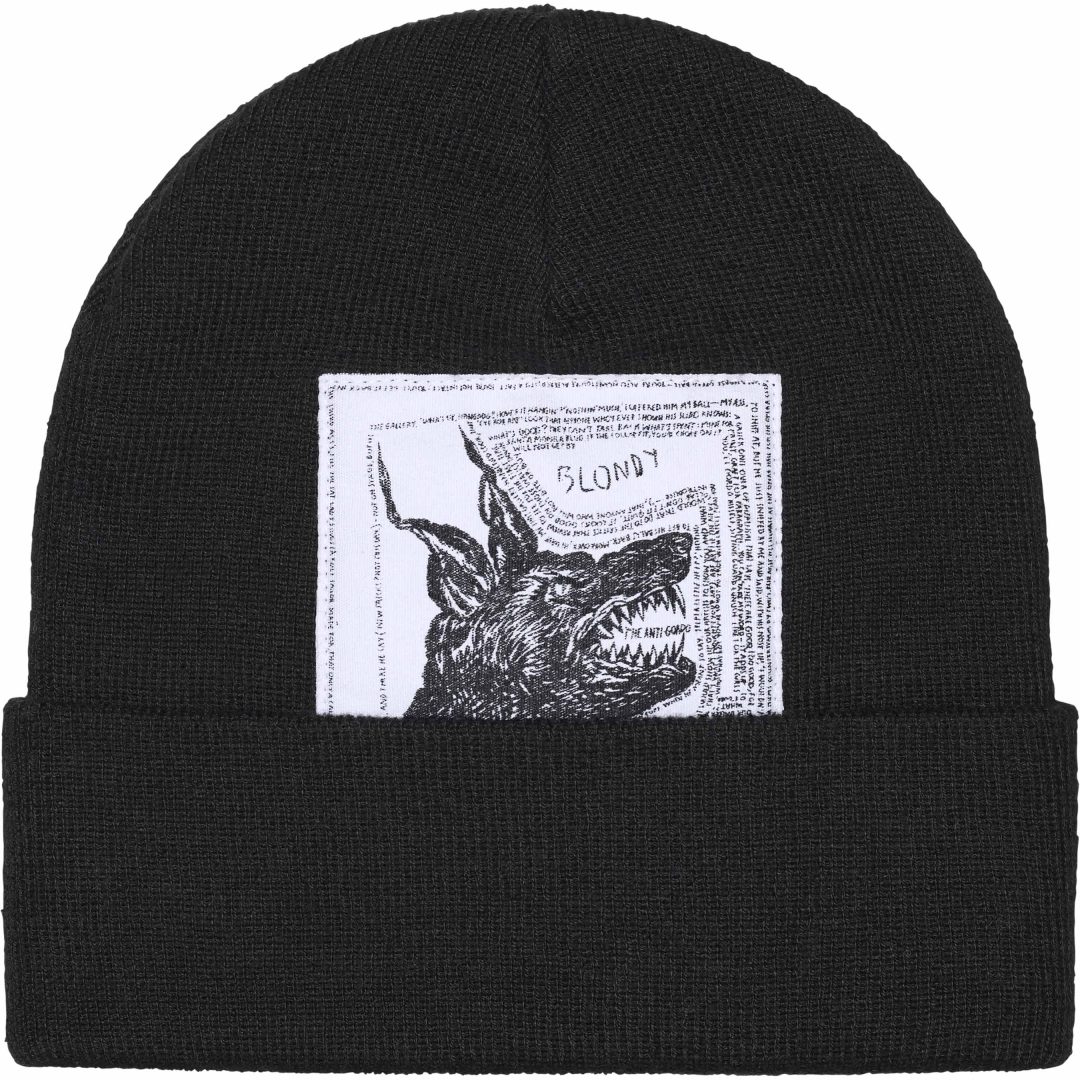supreme-the-north-face-24fw-24aw-beanie