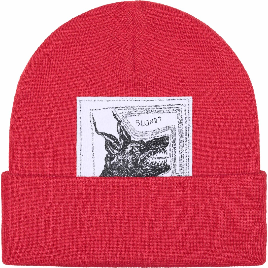 supreme-the-north-face-24fw-24aw-beanie