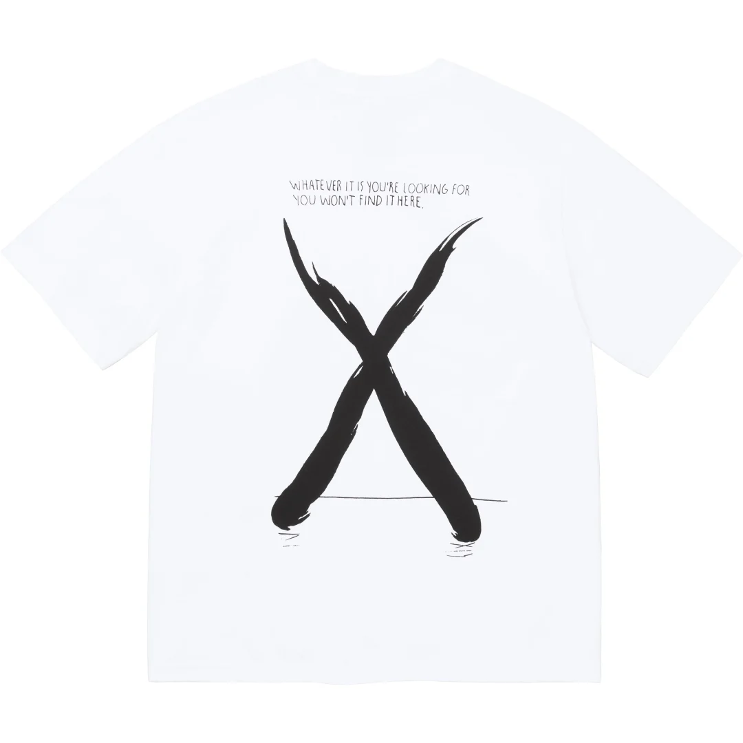 supreme-the-north-face-24fw-24aw-s-s-top