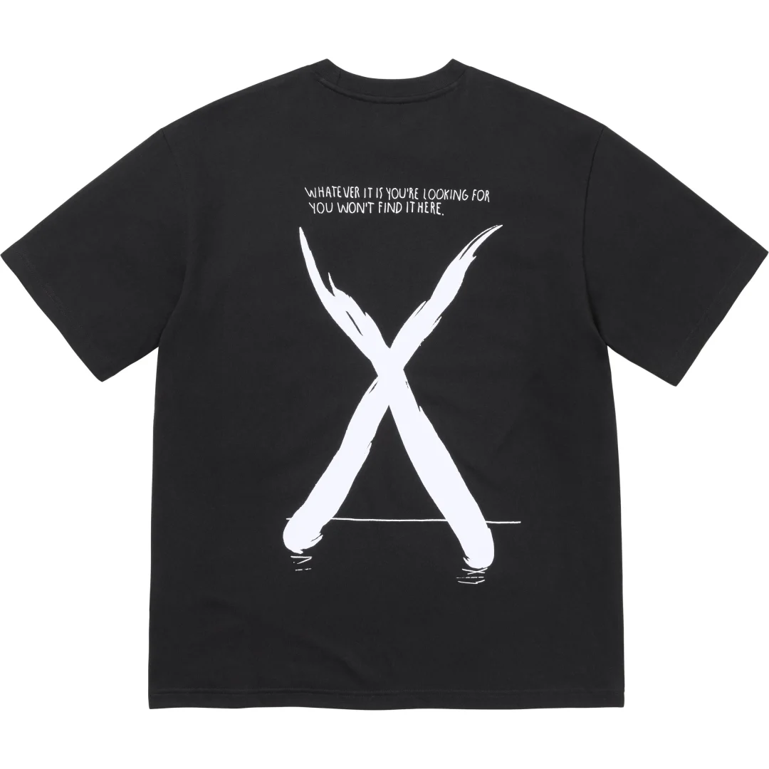 supreme-the-north-face-24fw-24aw-s-s-top